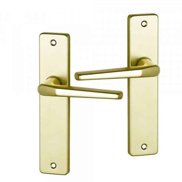 2 poignées de porte sur plaque CHAMONIX, Sans trou pour pièce à vivre, Finition aluminium anodisé F2 doré, Entraxe 165 mm