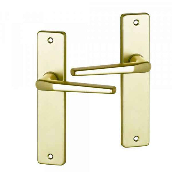 2 poignées de porte sur plaque CHAMONIX, Sans trou pour pièce à vivre, Finition aluminium anodisé F2 doré, Entraxe 165 mm