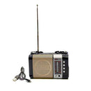 Bluetooth Multi-Functional Radio