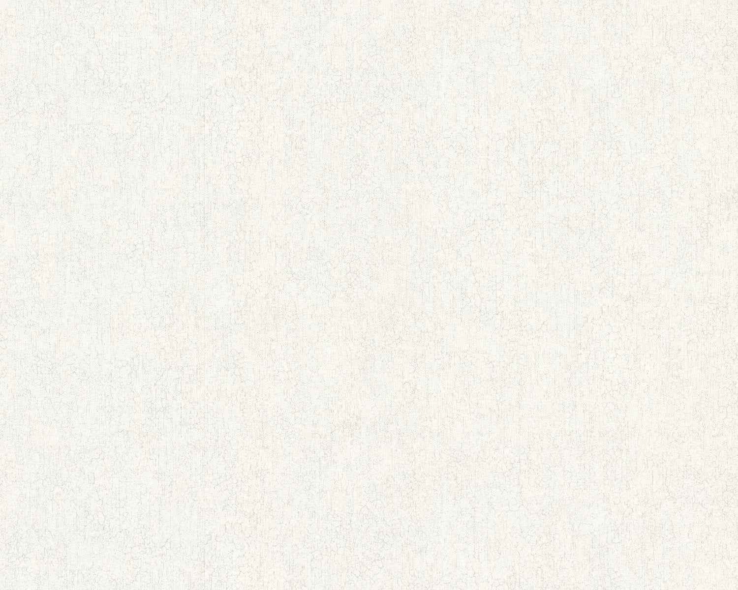 Papier peint texturé EDEM 410ST10 papier peint intissé gaufré à chaud légèrement texturé ton-sur-ton subtilement chatoyant blanc gris-clair argent 10,65 m2