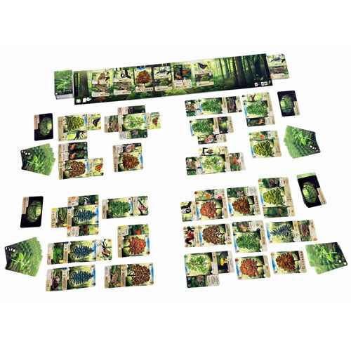 Forest Shuffle Game