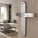 2 poignées de porte sur plaque AUDACE, Sans trou pour pièce à vivre, Finition aluminium nickel mat, Entraxe standard 195 mm