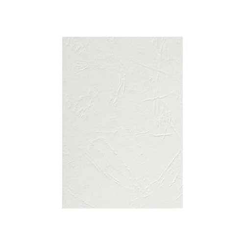 GNS Basic Binding Cober 300gsm A4 (Pack of 100)