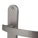 2 poignées de porte sur plaque AUDACE, Sans trou pour pièce à vivre, Finition aluminium nickel mat, Entraxe standard 195 mm