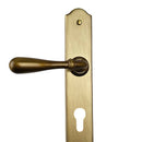 2 poignées de porte sur plaque DURANCE, Trou de cylindre - entrée - bureau - service, Finition laiton patiné, Entraxe standard 195 mm-3