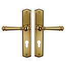 2 poignées de porte ATTILA, Trou de cylindre - entrée - bureau - service, Finition laiton poli doré, Entraxe standard 195 mm