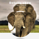 Jumelles Imaisen 10x42 HD étanches