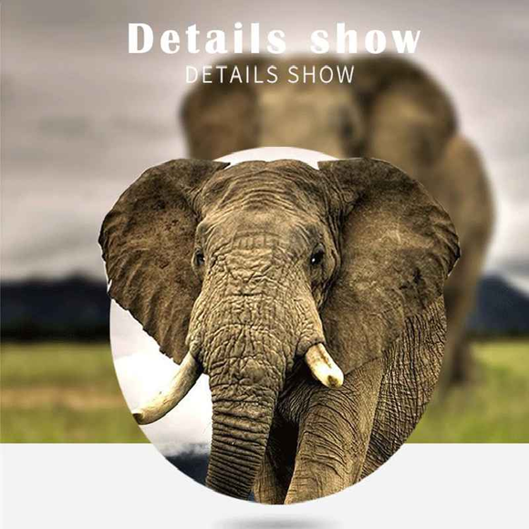 Jumelles Imaisen 10x42 HD étanches