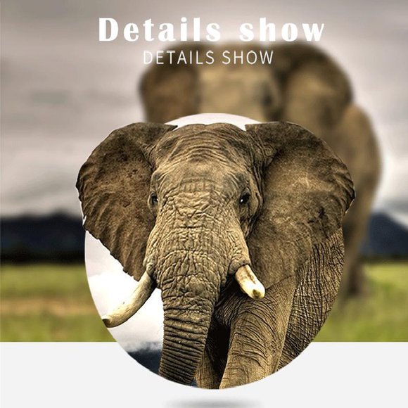 Jumelles Imaisen 10x42 HD étanches