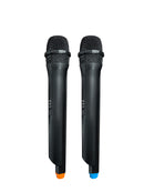 System audio PLL FM USB/SD/BT 2xKaraoke FULL LED-5