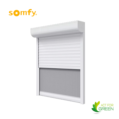 Somfy radio renovation shutter with mosquito net