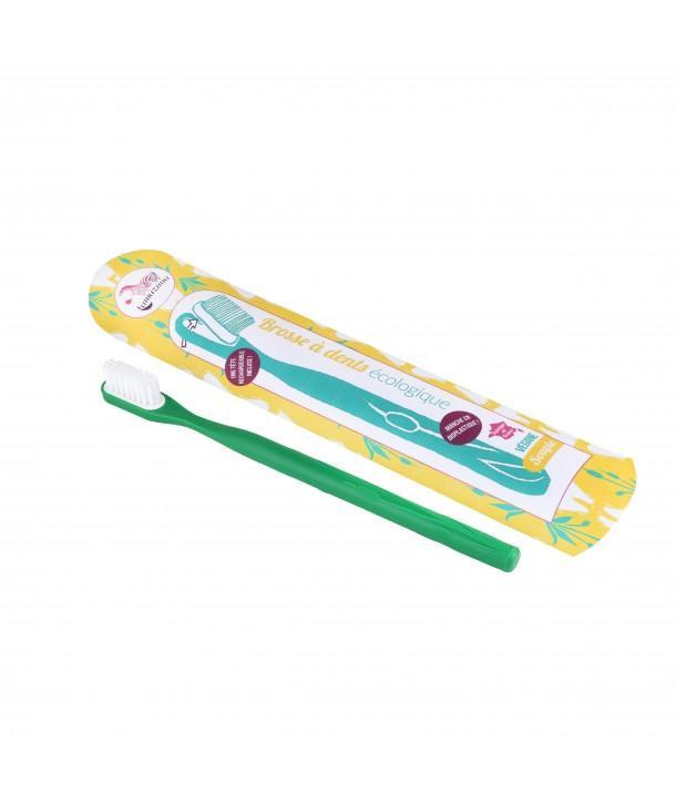 Buy green French toothbrush 2 heads free